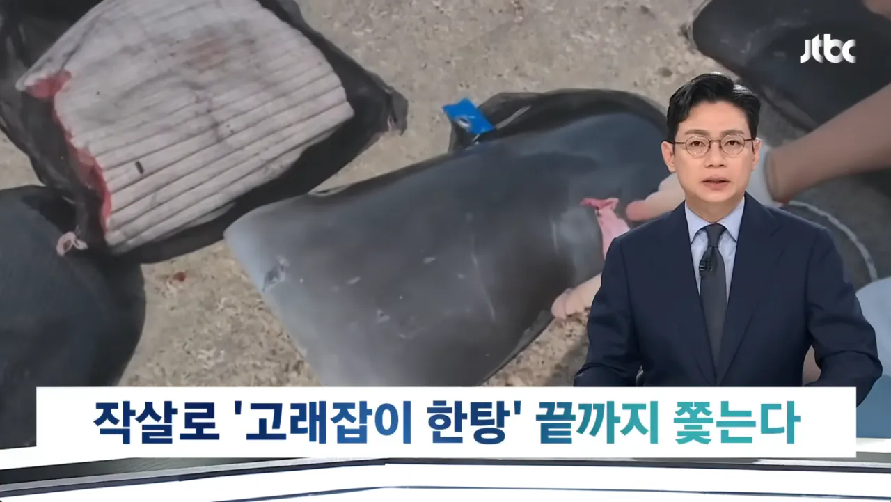 중국의 불법어업이나 일본의 포경산업을 욕하면 안되는 이유