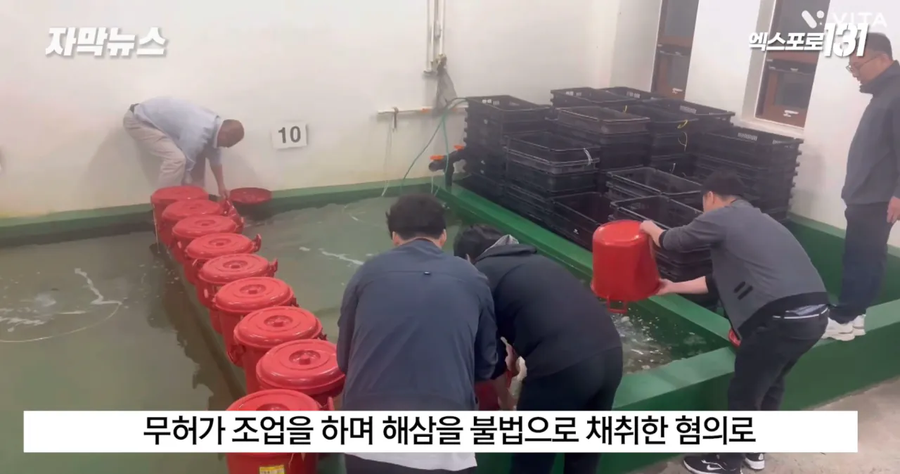 중국의 불법어업이나 일본의 포경산업을 욕하면 안되는 이유