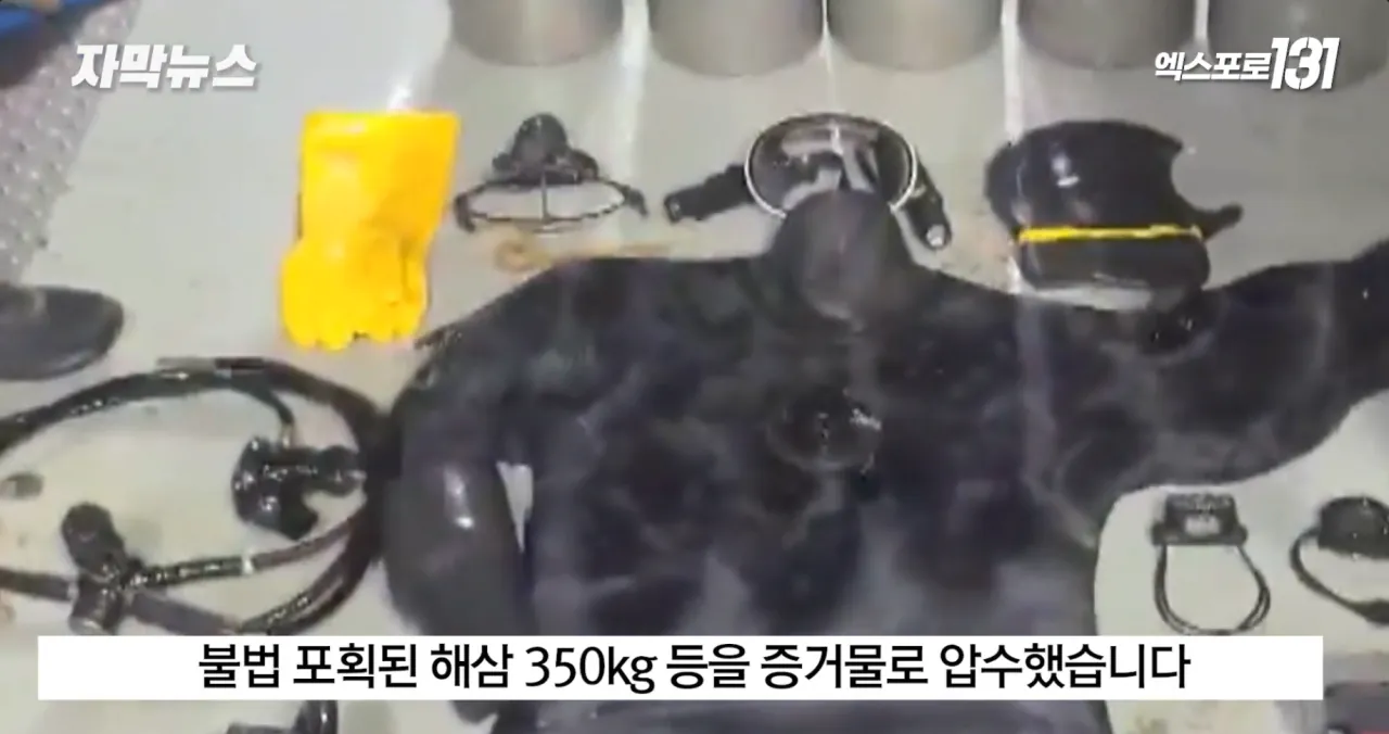 중국의 불법어업이나 일본의 포경산업을 욕하면 안되는 이유