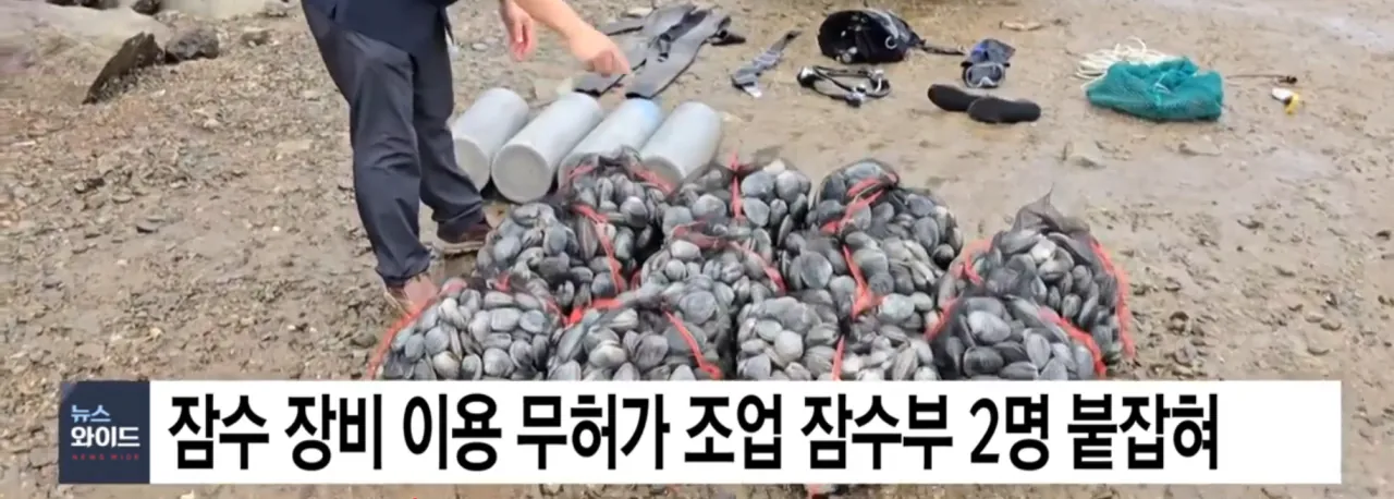 중국의 불법어업이나 일본의 포경산업을 욕하면 안되는 이유
