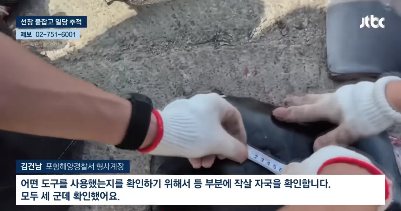 중국의 불법어업이나 일본의 포경산업을 욕하면 안되는 이유