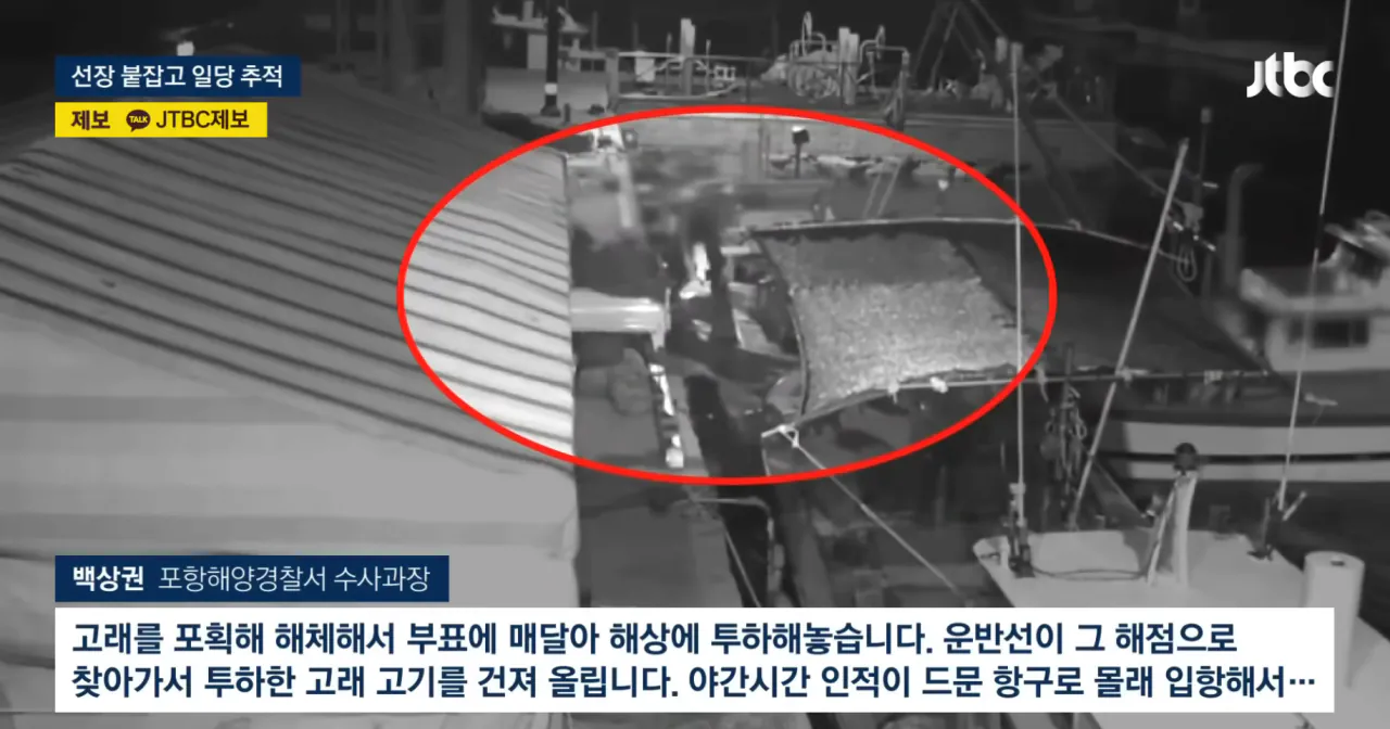 중국의 불법어업이나 일본의 포경산업을 욕하면 안되는 이유