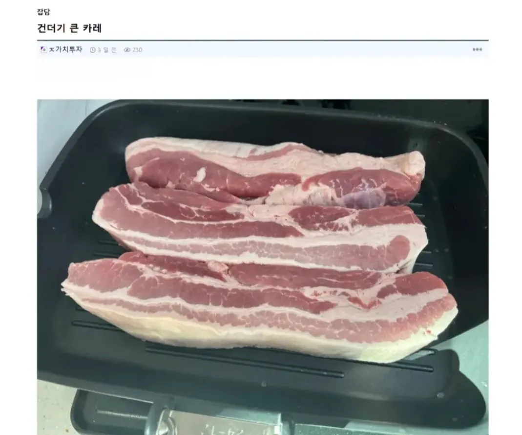 건더기 큰 카레