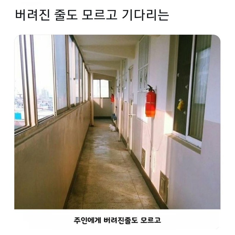 버려진줄도 모르고 기다리는