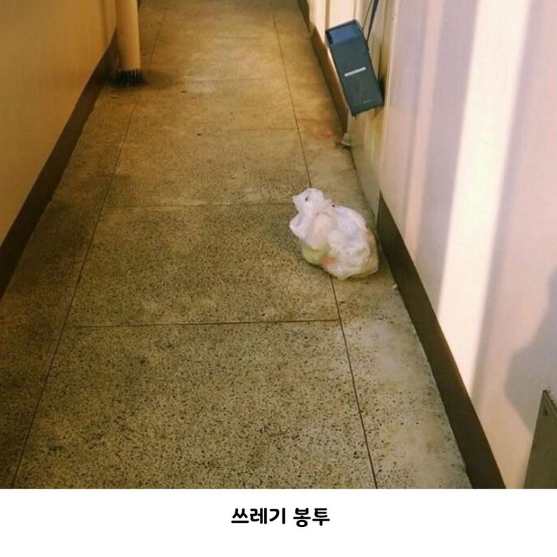 버려진줄도 모르고 기다리는
