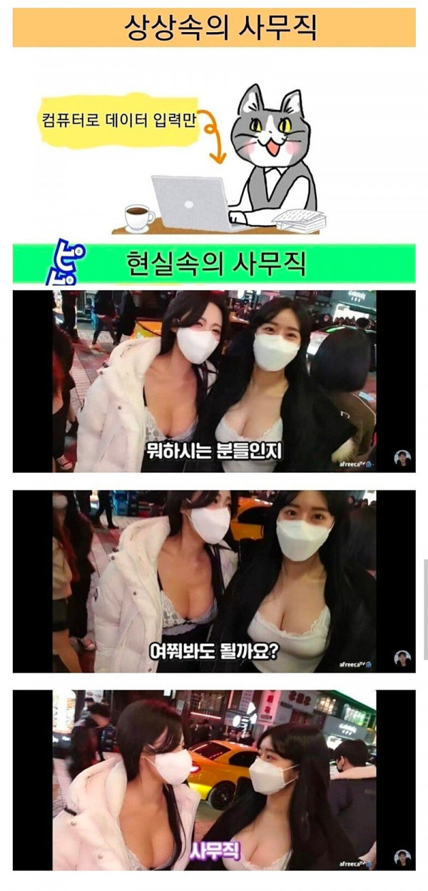 사무직에 대한 상상과 현실