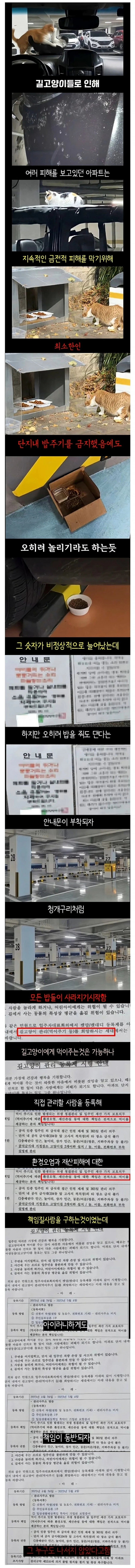 모 아파트에 캣맘들이 자취를 감춘 이유