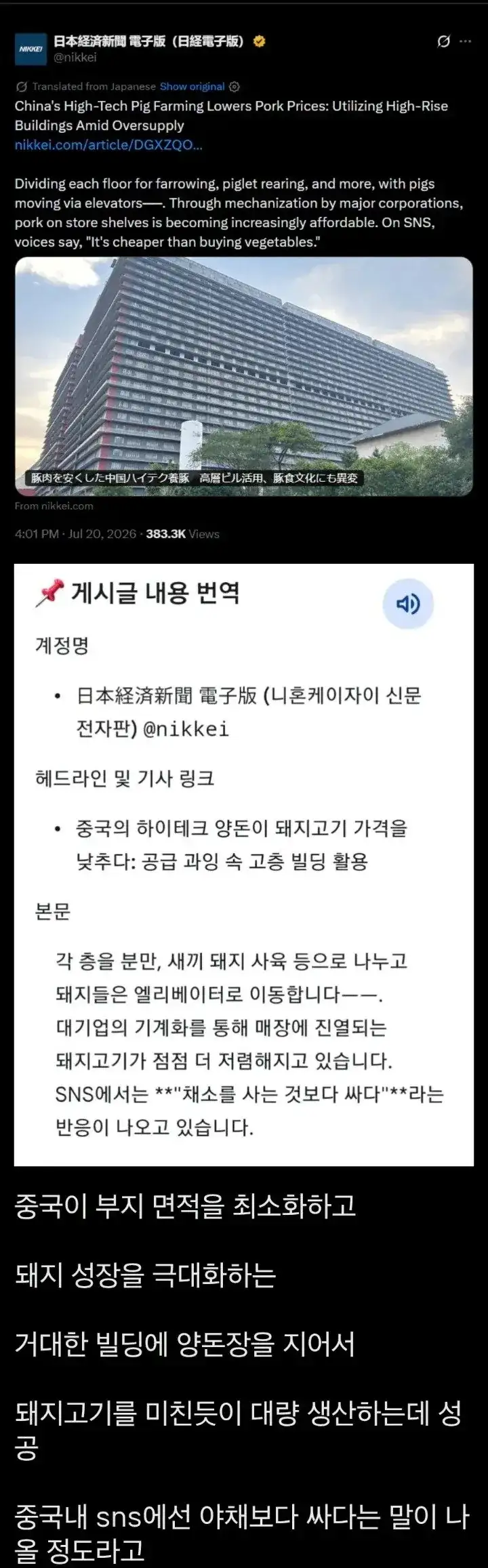 중국 돼지 공장 ㄷㄷㄷ