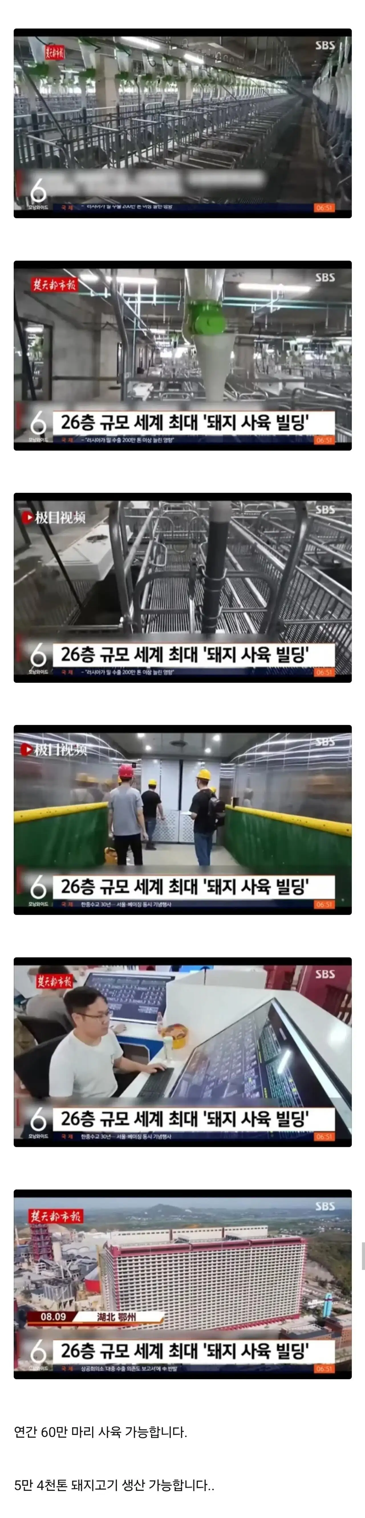 중국 돼지 공장 ㄷㄷㄷ