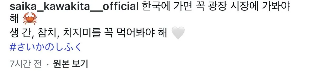 한국에 가면 광장시장 꼭 가라는 av배우