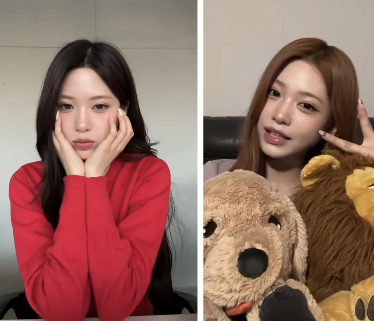 리센느 제나 젖살 빠지기 전후