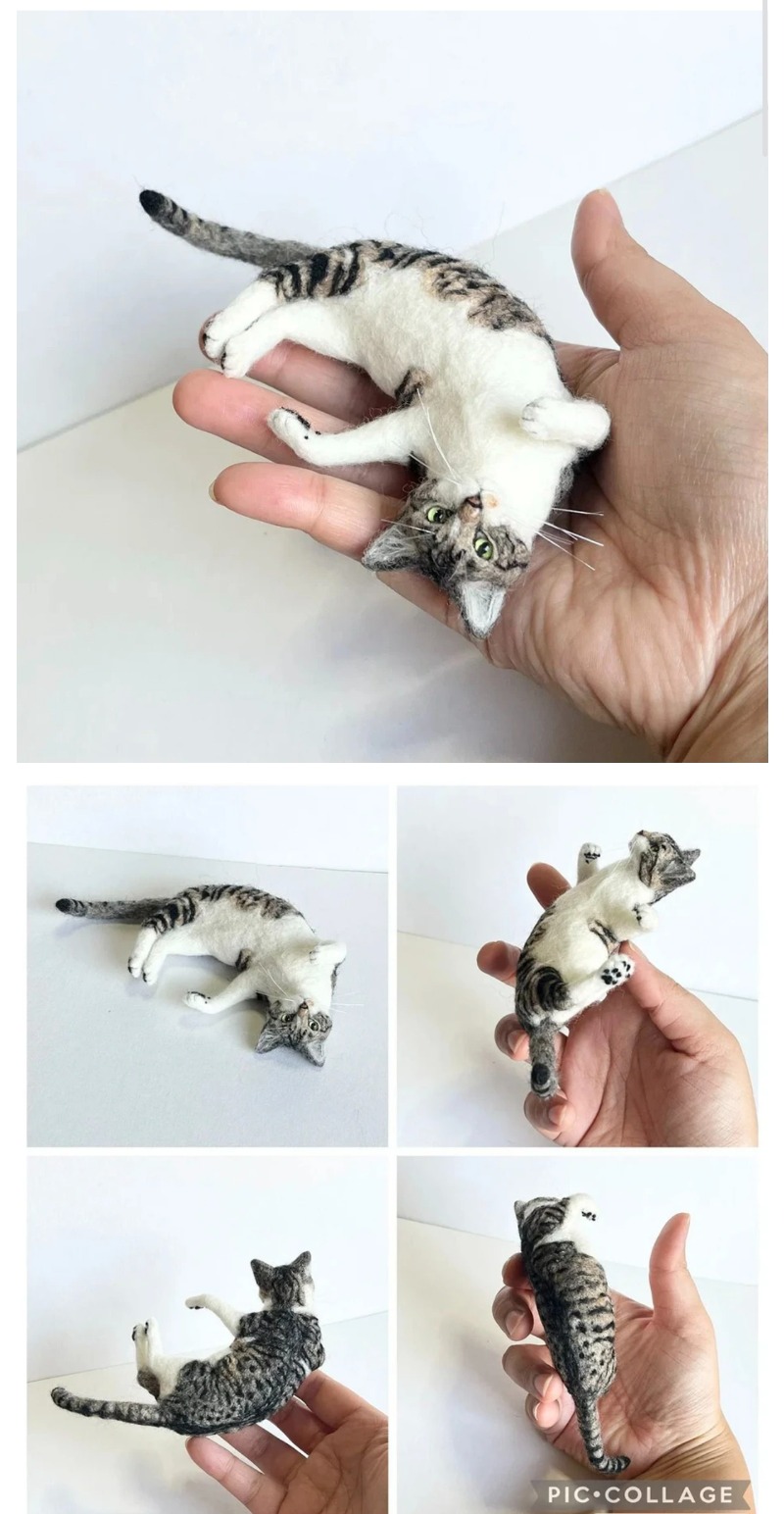  고양이 금손