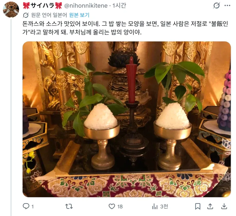 한국 돈까스 정식 밥 양 본 일본인들 반응
