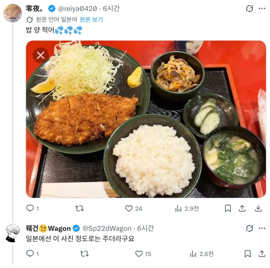 한국 돈까스 정식 밥 양 본 일본인들 반응