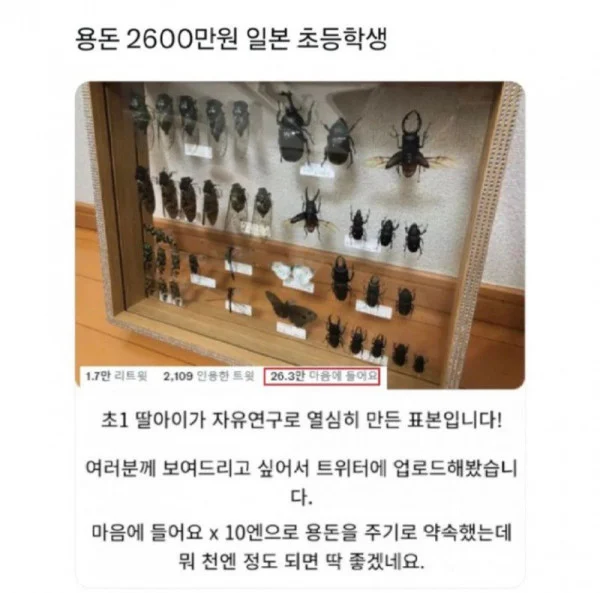 초딩용돈 2600만