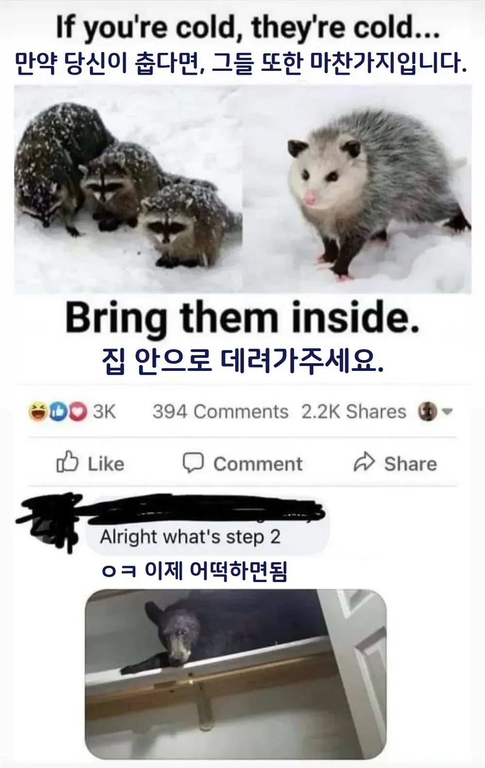 동물들이 추워요 대려가주세요