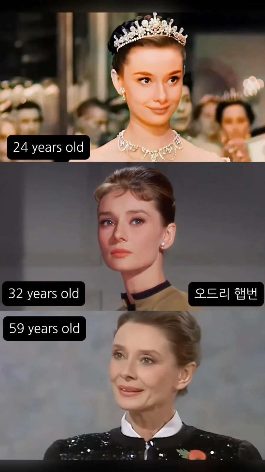 세기의 미녀들 외모 변천사