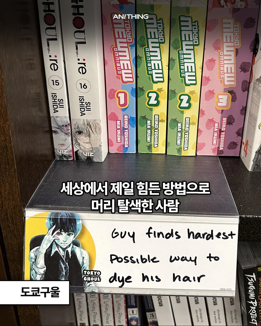 미국 만화방의 일본만화 한 줄 소개.