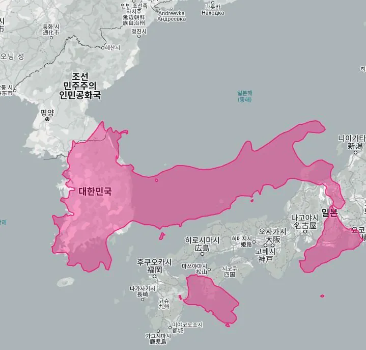 이탈리아 크기 체감 ㄷ
