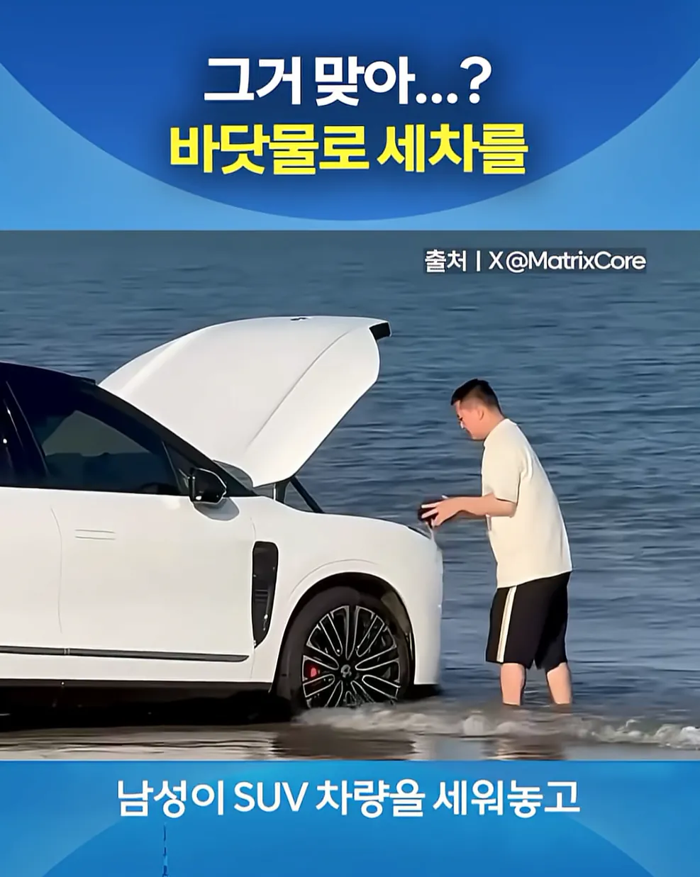 참신하게 스스로 돈 날리는 법