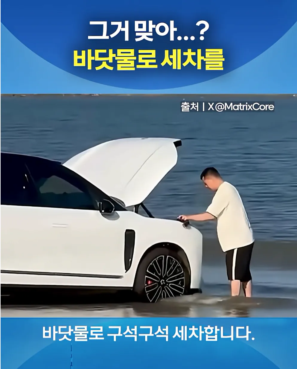 참신하게 스스로 돈 날리는 법