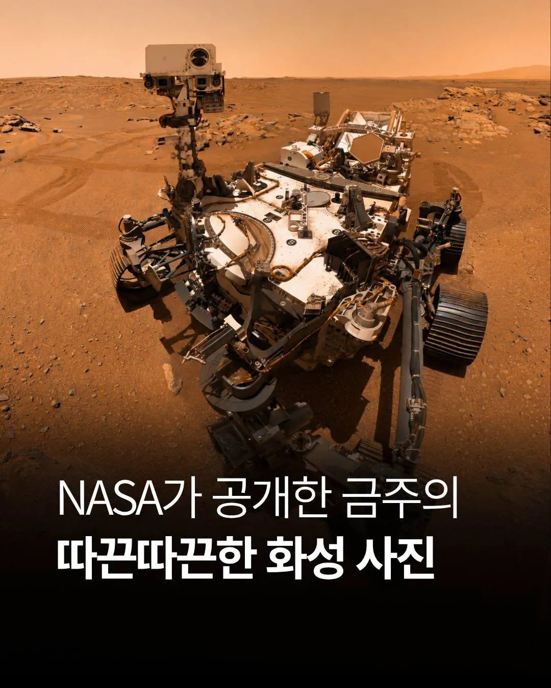 NASA가 공개한 가장 최근 화성 표면 사진