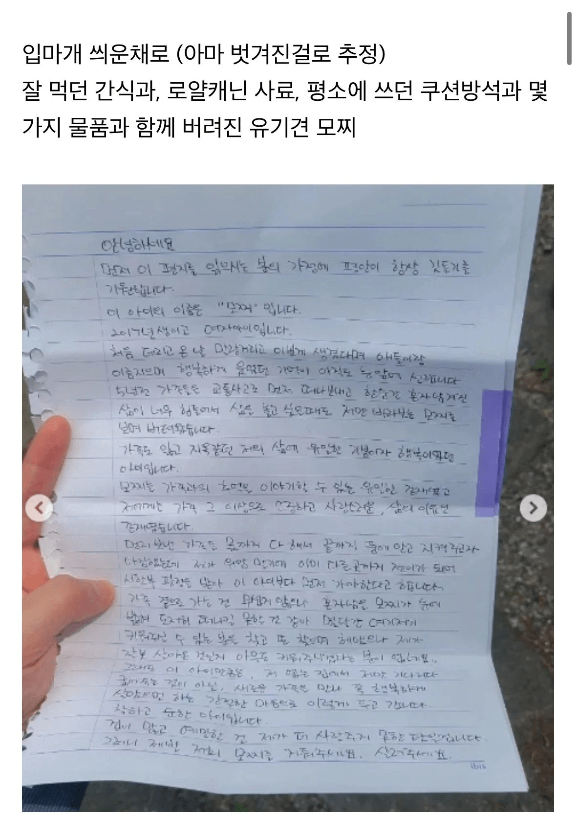 탄천주차장 버려진 강아지