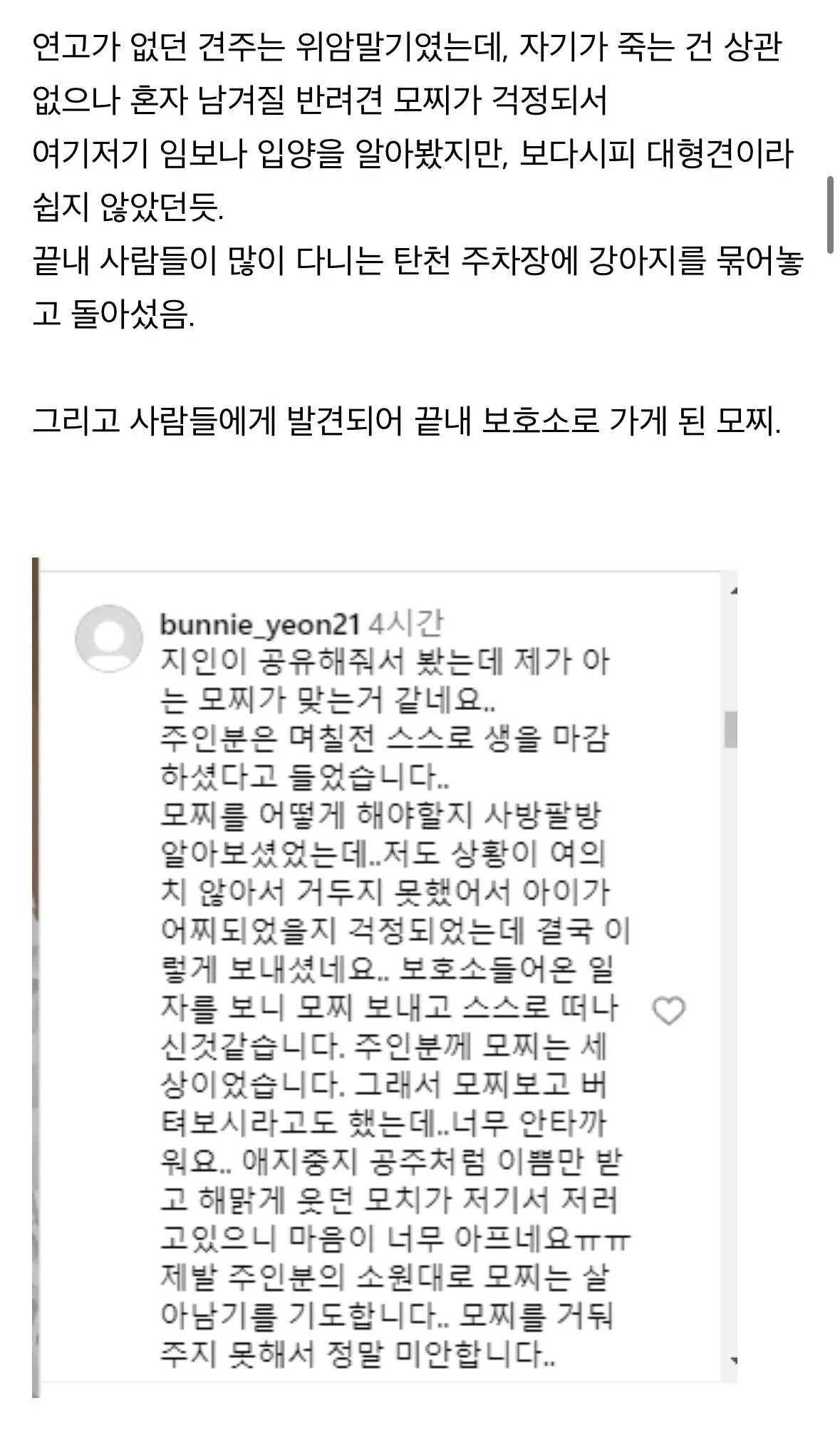 탄천주차장 버려진 강아지