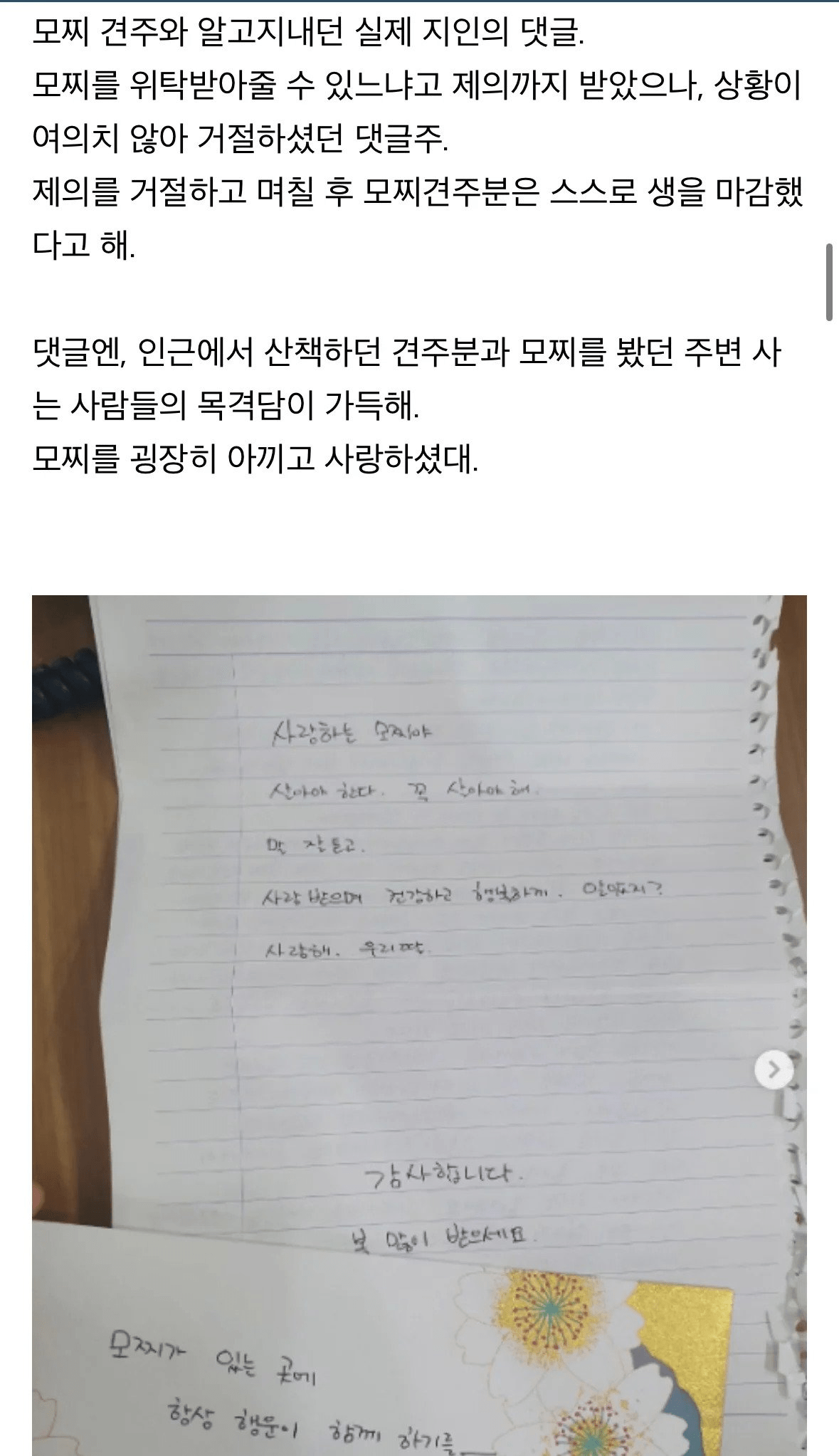 탄천주차장 버려진 강아지