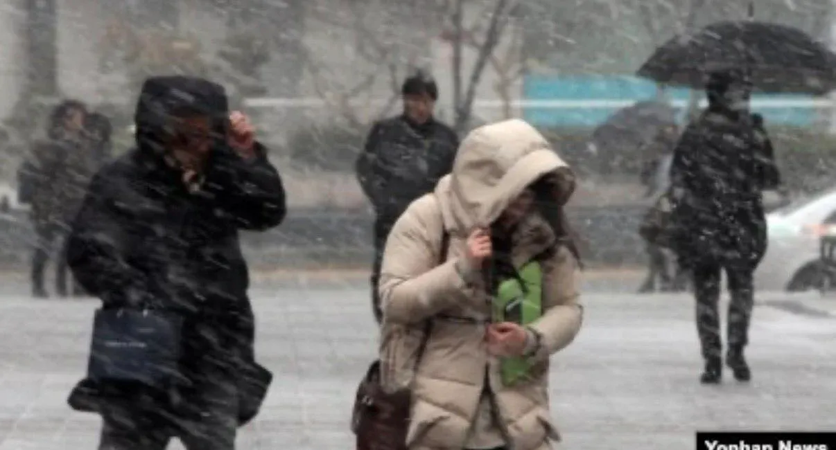 약 4개월 후 한국 근황