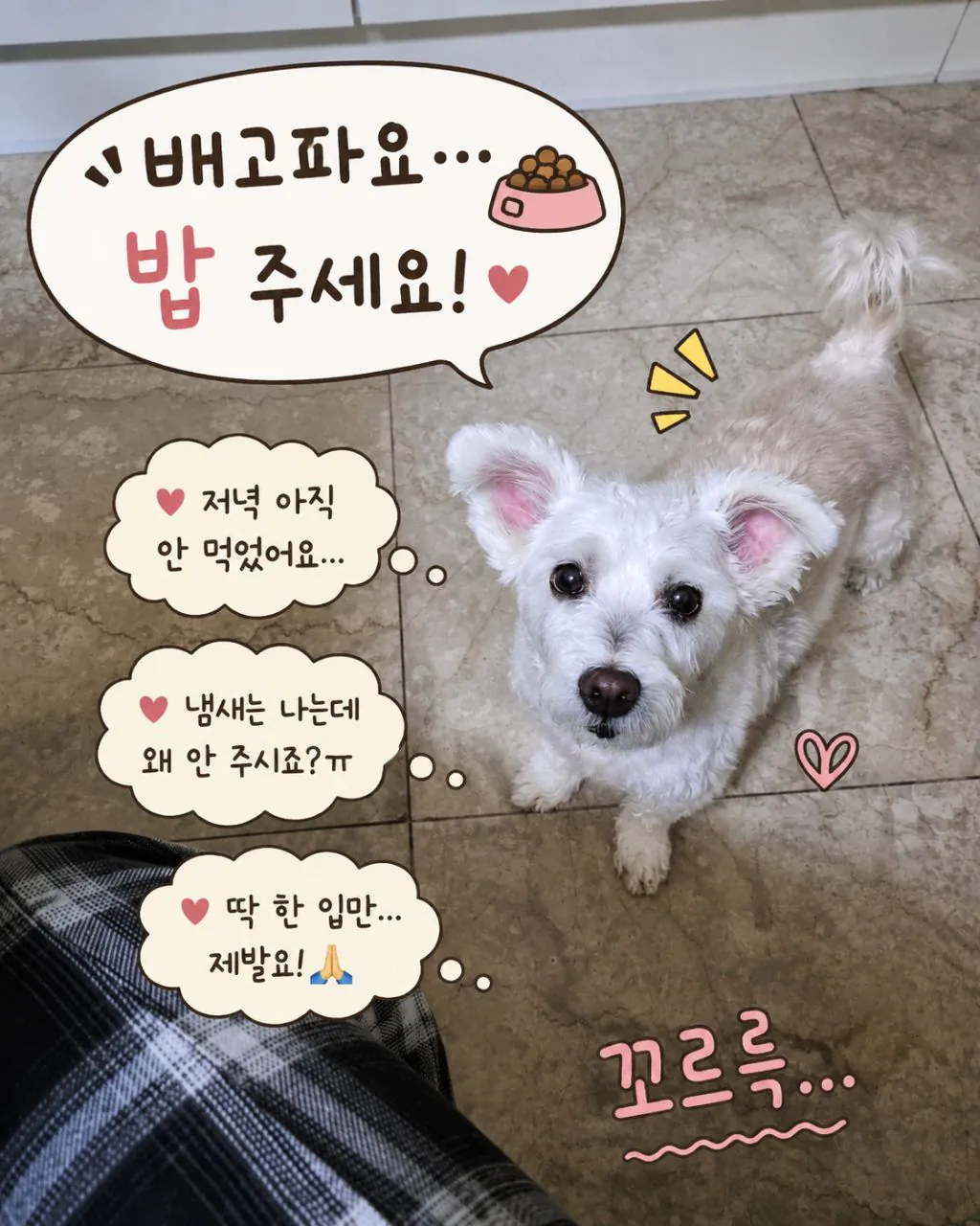 우리아빠 맨날 ai로 이런거 만들어서보냄