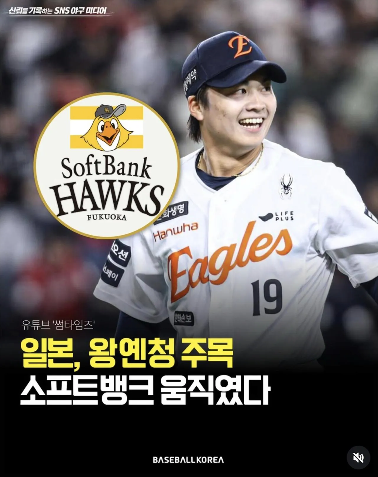 뭐고 좆뱅 왕옌청 주목중이었네