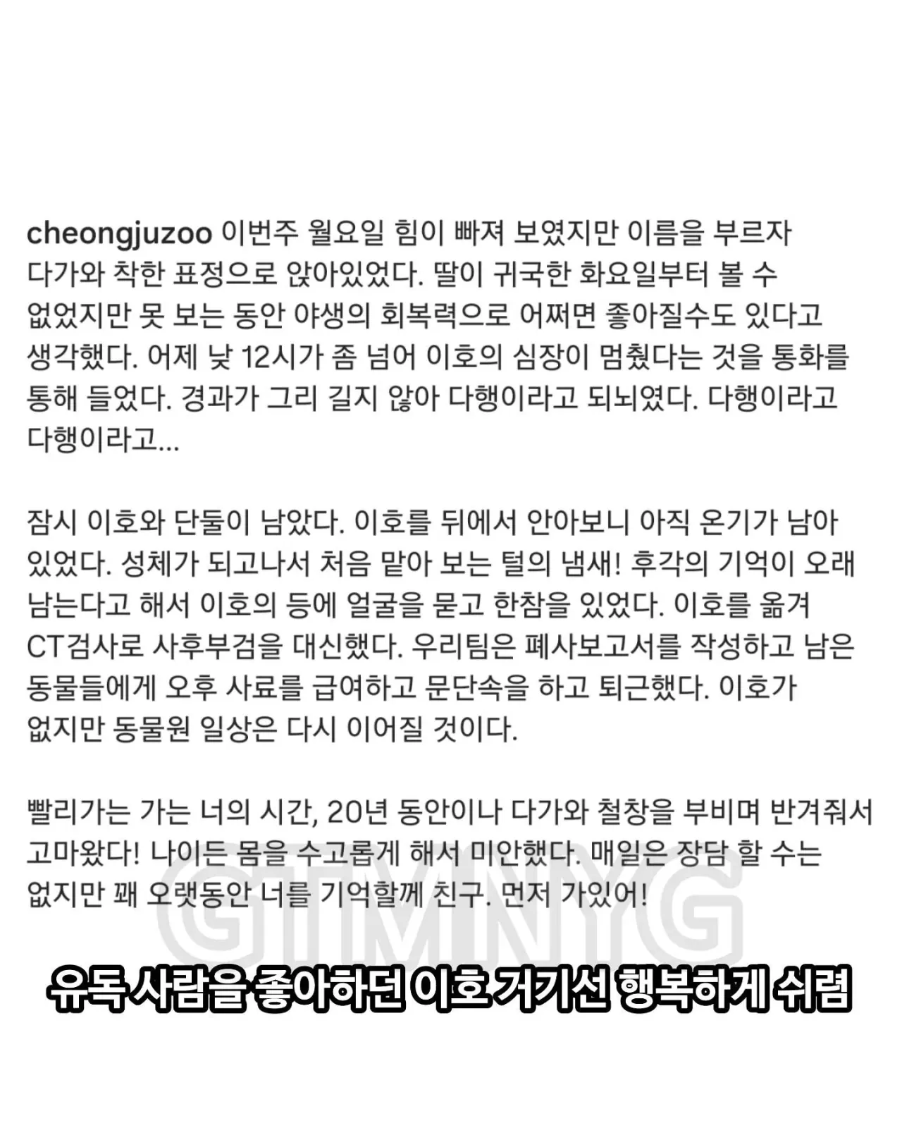 사람 좋아하던 청주동물원 호랑이 이호