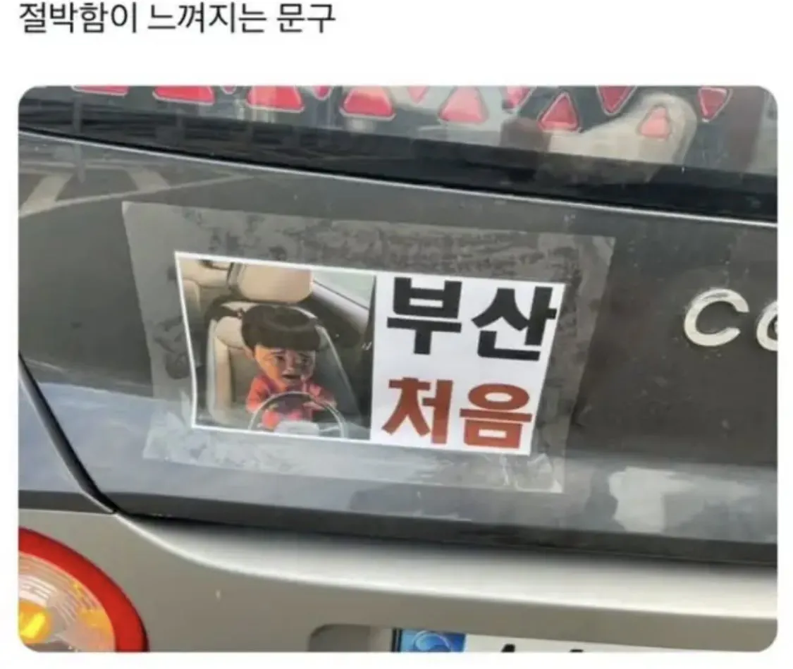 절박함20 어느 부산 여행객