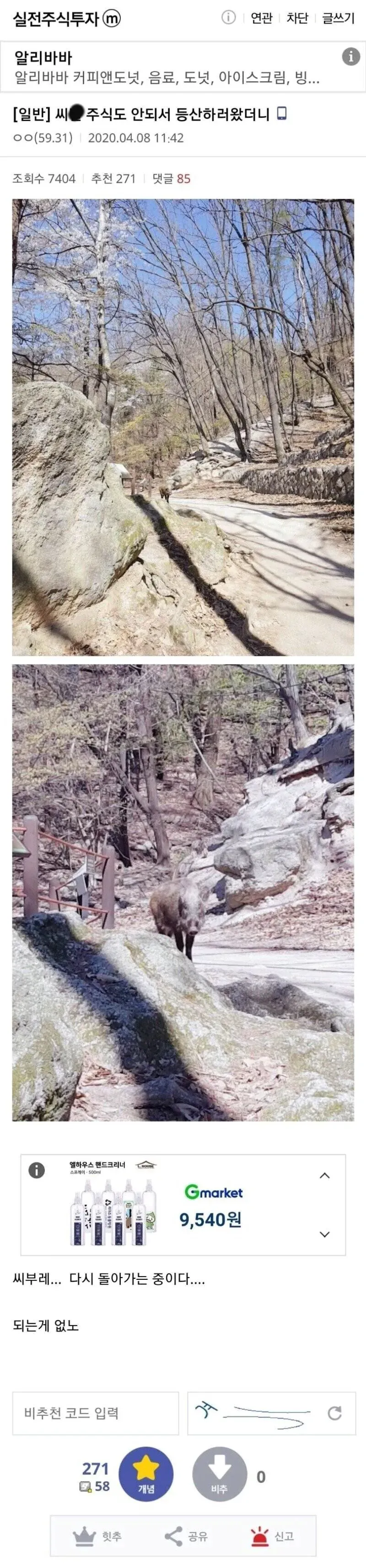 주식 망해서 마음 다잡으려 등산 왔더니...