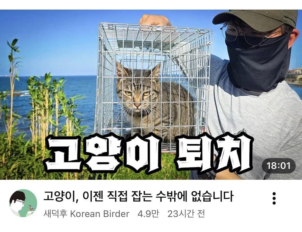 고양이, 이젠 직접 잡는 수밖에 없습니다