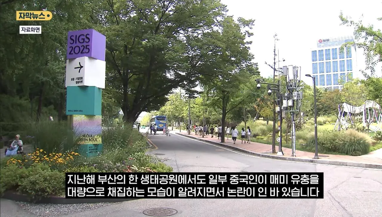 최근 한강공원에서 곤충 무단 채집 현수막을 건 이유