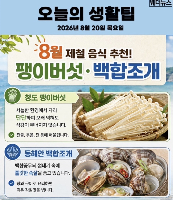  20일 생활팁 