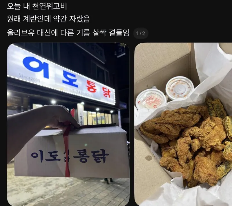 내 천연 위고비