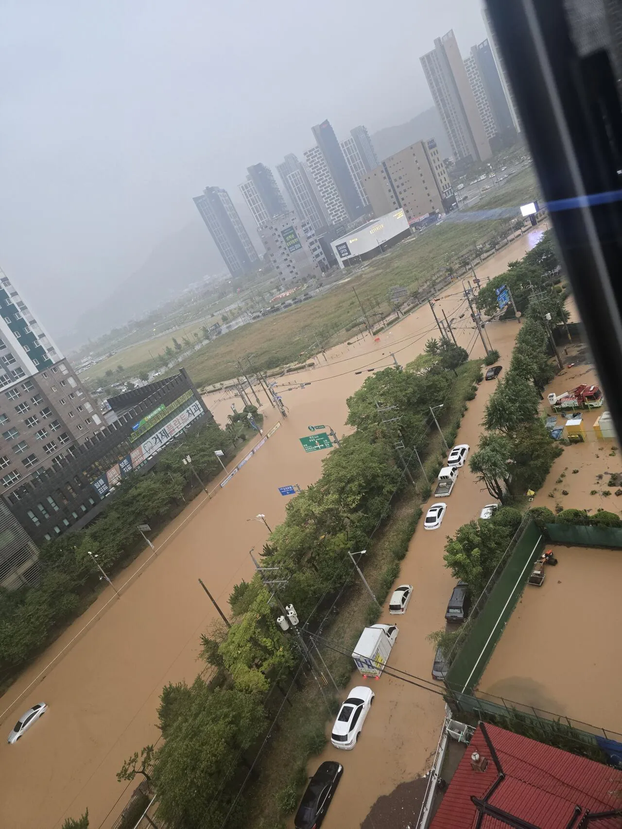 거제 6일 전 상황