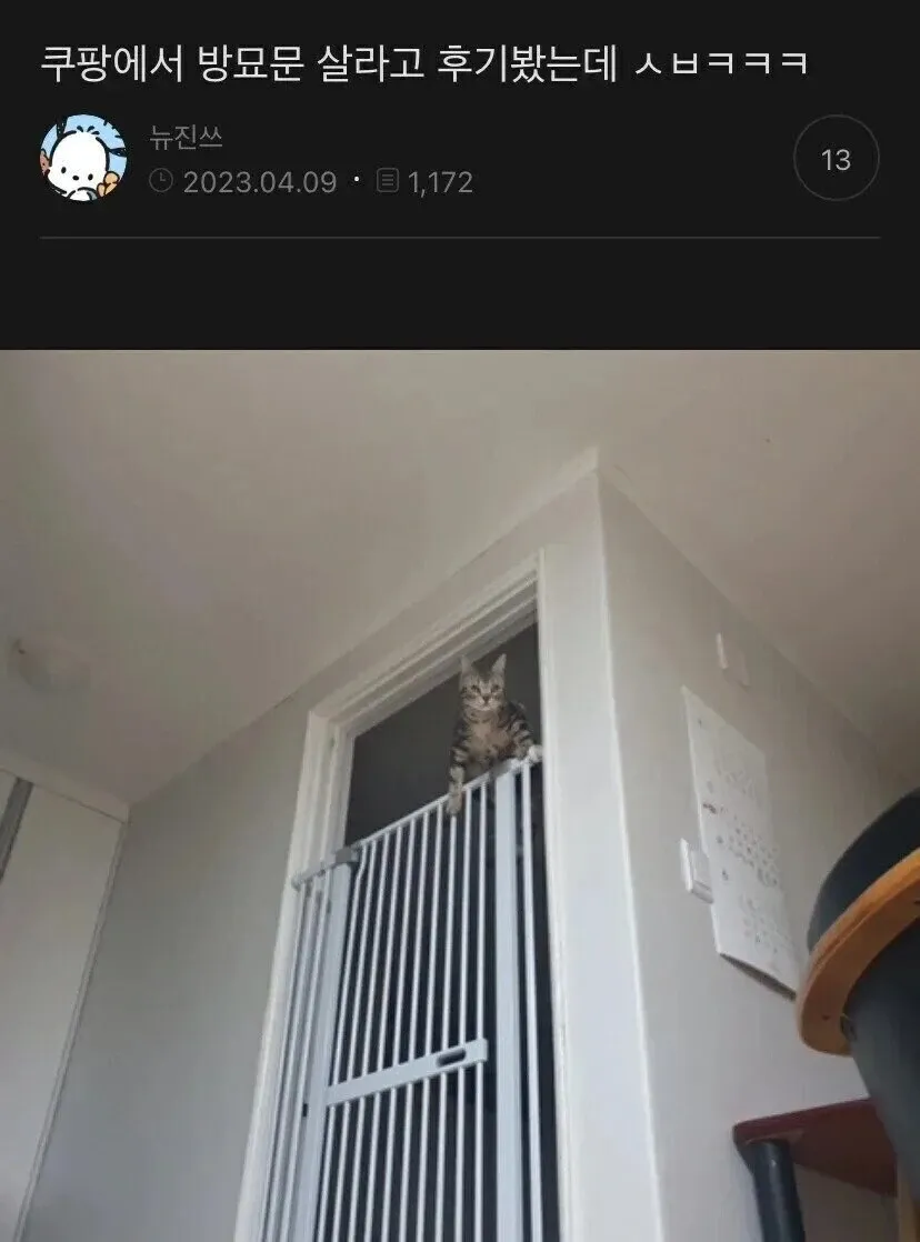 쿠팡 방묘문 구매 후기