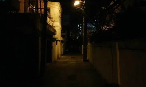 여자들의 착