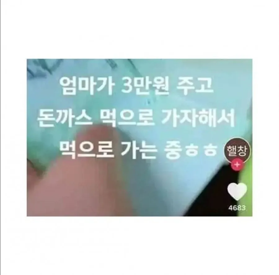 초딩 유튜버가 휴방한 이유