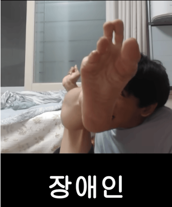 누나의 애인