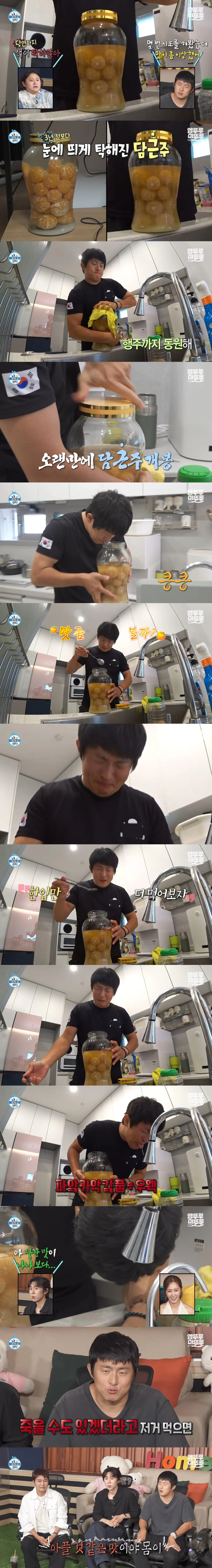 3년 숙성 귤 담금주