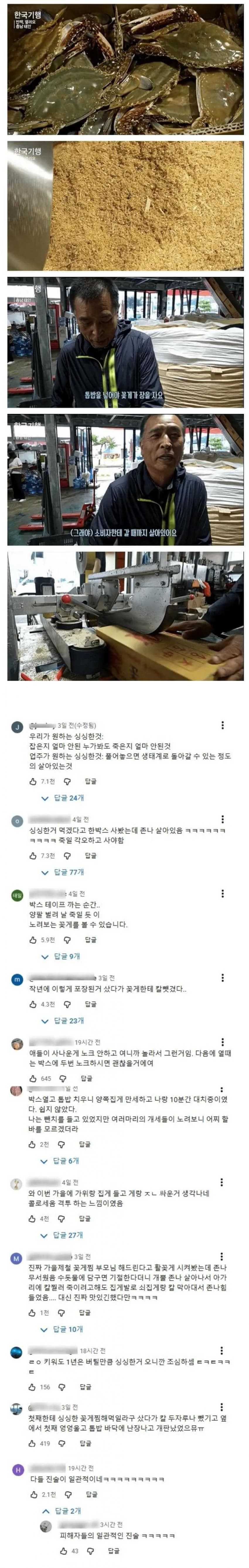 꽃게 위에 톱밥을 가득 얹는 이유