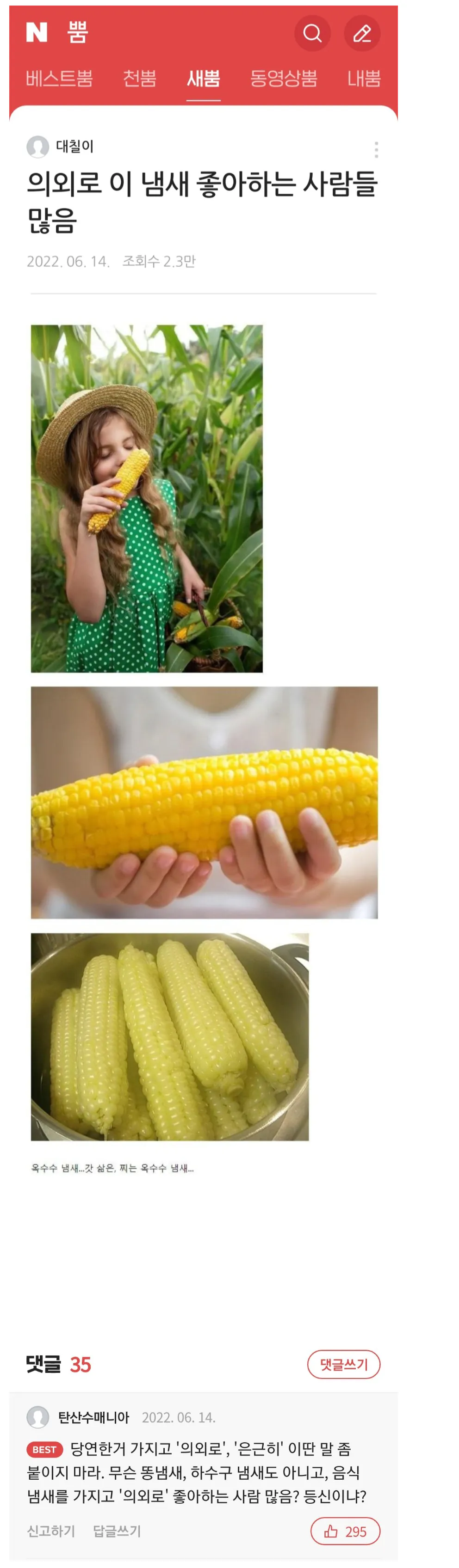 옥수수 냄새는 당연히 좋지!