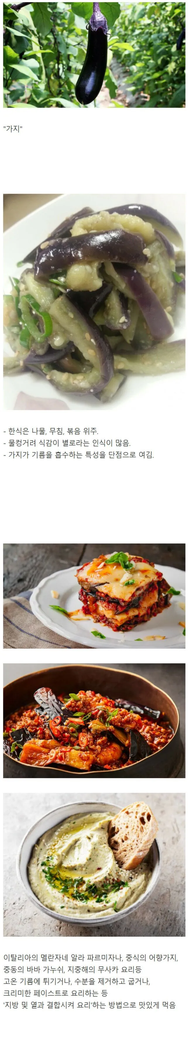 유독 한국에서만 요리법이 뒤쳐졌다는 식재료