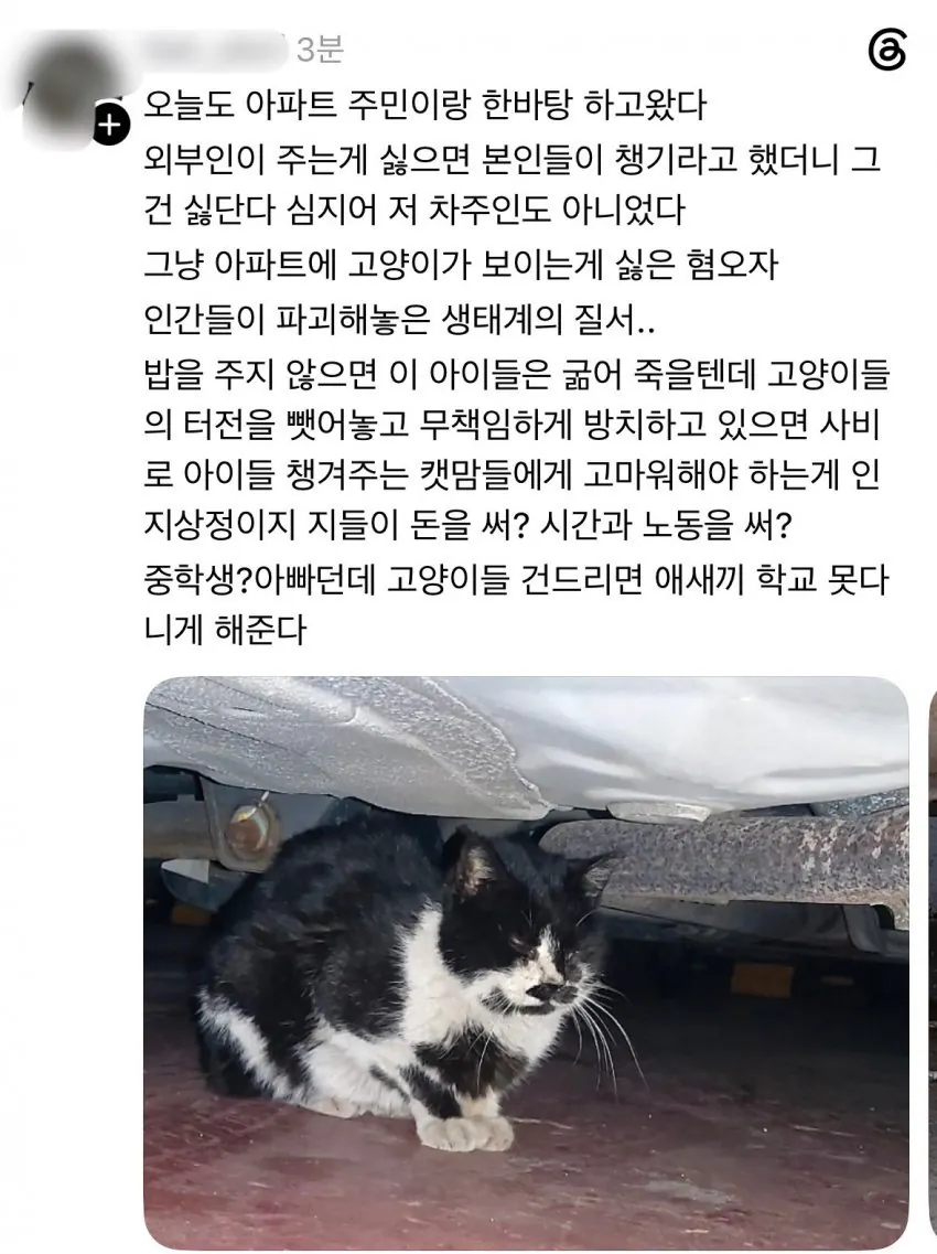 스레드의 당당한 캣맘