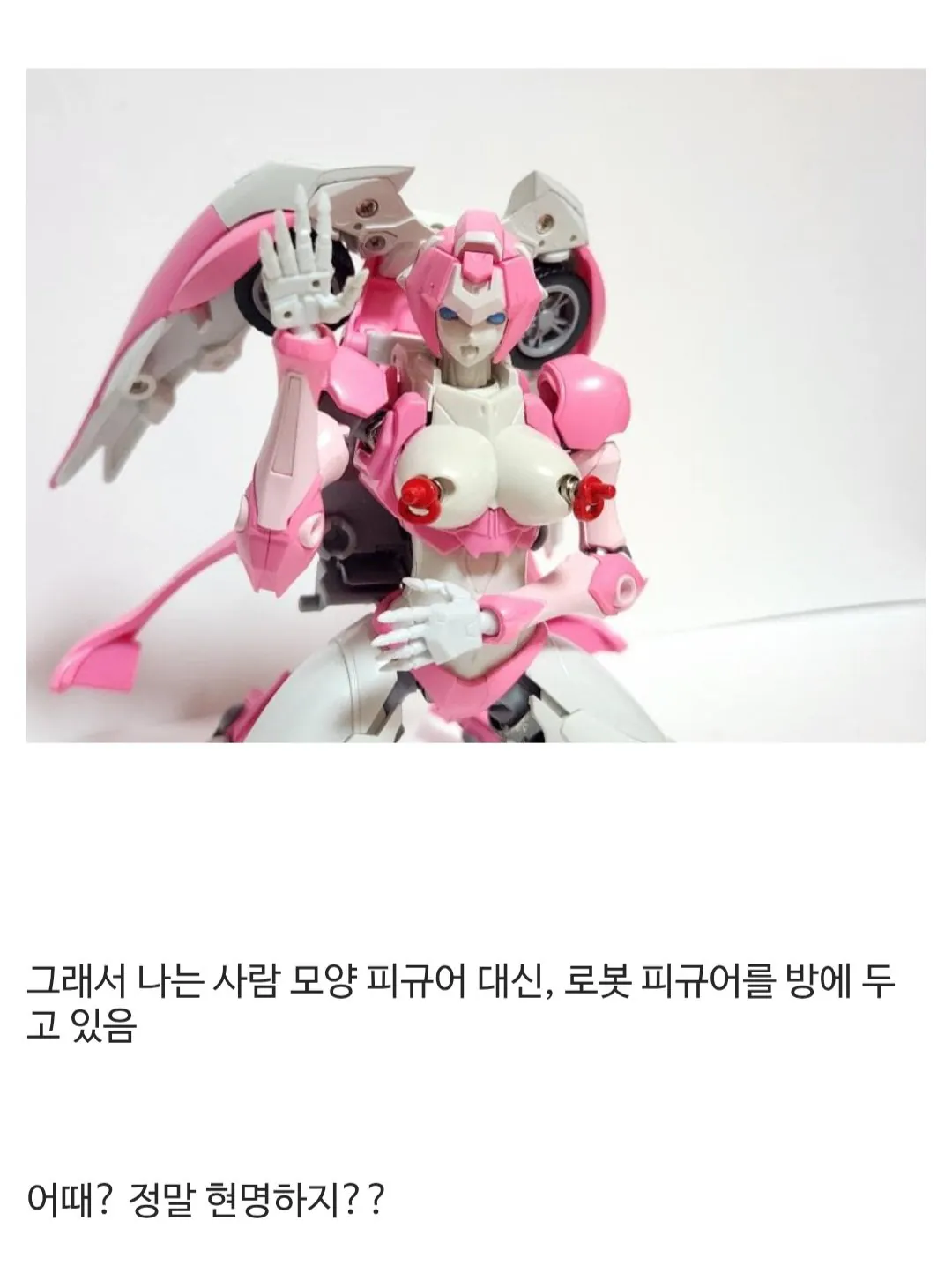 집에 사람 모양 피규어를 두면 안 되는 이유와 디시인들 반응